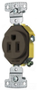 Duplex/Single Receptacle -- RR151TR - Image