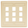 Datacommunication Face Plate - IFP29EI - Hubbell Incorporated