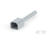 Automotive Connector Caps & Covers - DTP2P-BT - TE Connectivity