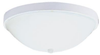 5976BLE-15 Flush Mounts-Bowl Style - 716504 - Capital Lighting, Inc.