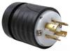 Locking Device Plug -- L2020-P - Image