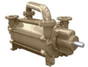 Two Stage Liquid Ring Vacuum Pumps -- DV2001B-D