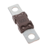 Fuses - 153.5395.6502-ND - DigiKey