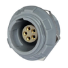 Circular Connector Assemblies - 2057-MMI-P1SRG05SGG-ND - DigiKey