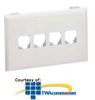 Panduit® NetKey Snap-On Flush Mount Universal.. - T70KW - TelephoneStuff.com