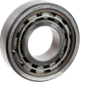 Link-Belt MR1307TV Unmounted Bearings Cylindrical Roller Bearings - MR1307TV - RegalRexnord