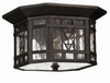 Exterior -Ceiling Mount - 391539 - Light Center (The)