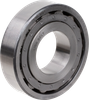 Link-Belt MU1309CX Unmounted Bearings Cylindrical Roller Bearings - MU1309CX - RegalRexnord