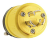 Locking Device Plug -- 2434 - Image