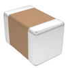 Capacitors - Ceramic Capacitors -- 1307218-600F220FT250XT