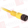 Plug/Receptacle - 53491447 - Radwell International