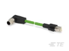M8/M12 Cable Assemblies -- TCX38821112-002 - Image
