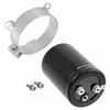 Aluminum Electrolytic Capacitors - 493-8888-ND - DigiKey