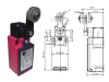 Limit Switch - Radwell International