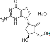 Entecavir Monohydrate - 14693 - Medical Isotopes, Inc.