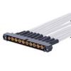 10 Pos. Male SIL 12 AWG Cable Assembly, single-end, Jackscrews -- M80-MP135-10-XXXX-L - Image
