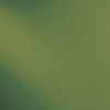 Olive Green Solid Transparent, Thin Glass - 528-4SFL - Spectrum Glass Company, Inc.