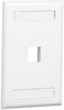 Vertical Faceplate, 1 Module, Ivory; Accessory Type Panduit - 84K3303 - Newark, An Avnet Company