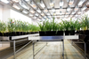 Conviron Growth House - Image