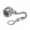 Cap and chain, S.S. (for any male Quick-test adapter) - QTFT-CAPS - Ralston Instruments, Inc.