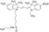 Cyanine 3 Monofunctional Hexanoic Acid Dye Ethylenediamine.. - 8622 - Medical Isotopes, Inc.