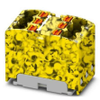 Distribution Blocks - 2015485 - RS Components, Ltd.
