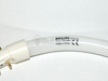 40 Watt, 12" Diameter Cool White T5 Circline Bulb - 165984 - bulbs.com