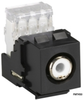 RCA Female/110 Punchdown Connector, White - FMT450 - Visual Sound, Inc.