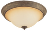 Flush Mounts-Bowl Style - 243542 - Light Center (The)