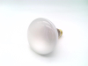 Incandescent Lamp - Radwell International