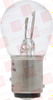Incandescent Lamp - 206110200 - Radwell International