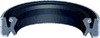 Standard Lip Seal with Excluder -- L312-01 - Image