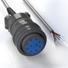 MS, 10 pin, 6 wire, 20ft Cable Assembly - Image