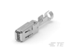 Automotive Terminals - 1-968872-1 - TE Connectivity