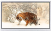 All Shore Industries, Inc. > Liquid Crystal Displays | - ASI-T-700MB4FN/A - All Shore Industries