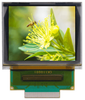 All Shore Industries, Inc. > Liquid Crystal Displays | - ASI-O-169HACCH80/M - All Shore Industries