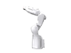Industrial (Articulated) Robots -- Racer-5 SE - Image