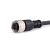M12 Straight Female Cable Connector -  - Shenzhen QH Industrial Co., Ltd