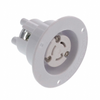 Plugs and Receptacles - WM22383-ND - DigiKey