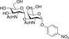 4-Nitrophenyl 2-Acetamido-3-O-(2-acetamido-2-deoxy-α-.. - 29317 - Medical Isotopes, Inc.