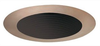 Incandescent/Fluorescent/HID Recessed Trim - 444-BABZ - Juno Lighting Group