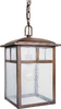Exterior -Hanging - 86820 - Light Center (The)