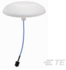 Antennas - CLS69273P-30NF - TE Connectivity