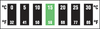 Digi-Temp 7 Level Horizontal Reversible Thermochromic Liquid Crystal Thermometer -- 4003B - Image