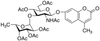 4-Methylumbelliferyl 2-Acetamido-2-deoxy-3-O-(α-L-fuc.. - 28837 - Medical Isotopes, Inc.