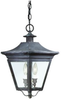 Exterior -Hanging - 66646 - Light Center (The)