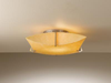126615-07-725 Semi-Flush Mts.-Other - 363146 - Capital Lighting, Inc.