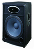  - SVP-15P - Wharfedale Pro