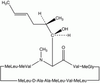 Cyclosporin D - C988910 - Toronto Research Chemicals, Inc.