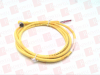 QD Cable/Cord Set - 4217157 - Radwell International
